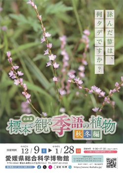 企画展「標本で観る季語の植物 秋冬編」