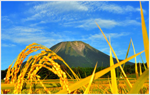 黄金の大山画像